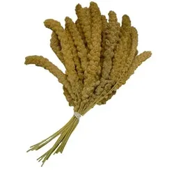 Gelbe Kolbenhirse chinesisch | 15kg Vogelfutter