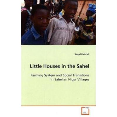 Mehdi, S: Little Houses in the Sahel, Taschenbuch von Saqalli Mehdi, VDM, 978-3-639-11947-3