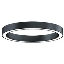 Zumtobel 42187664 Rundleuchte SLOIN R D 4500-930 MSC D800 OP LDE BK