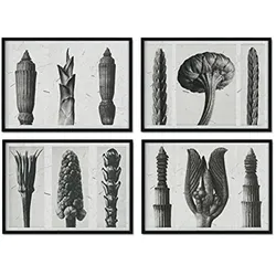 POSTER Set mit 4 von FarnsBlättern 2 Blumen und Pflanzen in Grausteinen A4 Rahmenlos