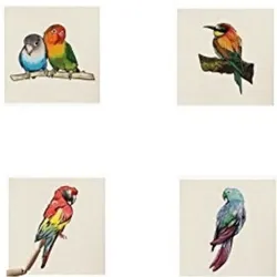 POSTER Set Mit 2 Vögel Tiere 15X15cm Rahmenlos
