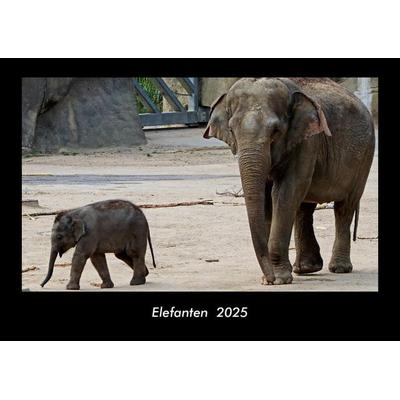 Elefanten 2025 Fotokalender DIN A3