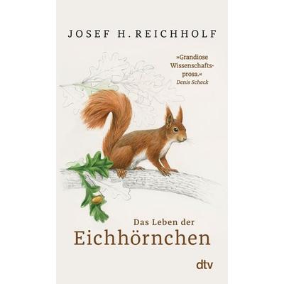 Das Leben der Eichhörnchen, Taschenbuch von Josef H. Reichholf, dtv, 978-3-423-34997-0