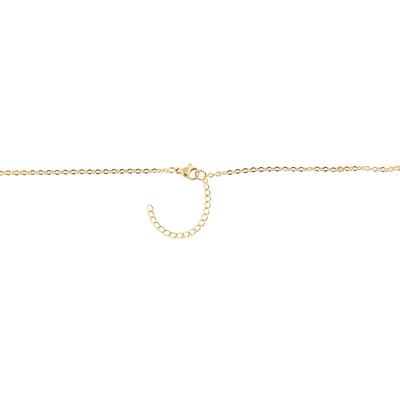 Kette ohne Anhänger ADELIA´S "Halskette – Ankerkette Medaillon aus Edelstahl 43 cm", gold, Halsketten, Damen, 43cm, Edelstahl, Ein stilvolles Geschenk für besondere Momente
