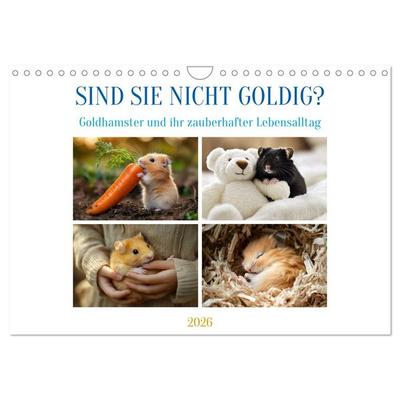 Sind sie nicht goldig? (Wandkalender 2026 DIN A4 quer), CALVENDO Monatskalender