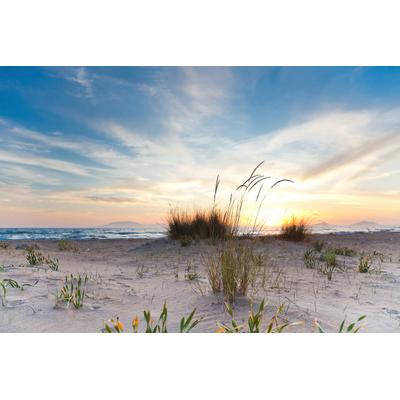 Fototapete PAPERMOON "Strand", bunt, B:4m L:2,6m, Vlies, Tapeten