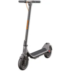 Denver, E-Scooter, (20 km/h, 25 km, 350 W)