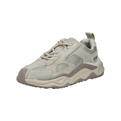 Sneaker STEVE MADDEN "STEVE MADDEN Sneaker Leder", Herren, Gr. 41, beige (weiß), Leder, Schuhe Sneaker