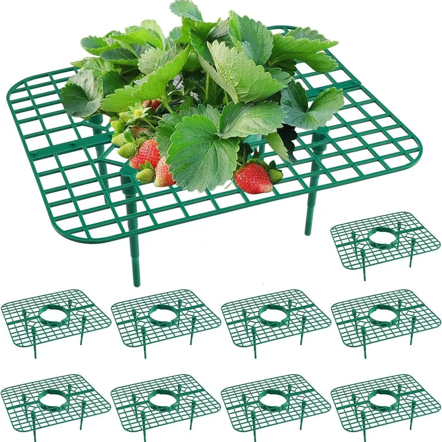Solidchoice Set van 10 Aardbeienplantsteunen voor Groeibed