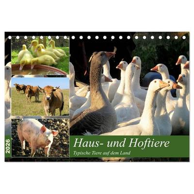 Haus- und Hoftiere (Tischkalender 2026 DIN A5 quer), CALVENDO Monatskalender