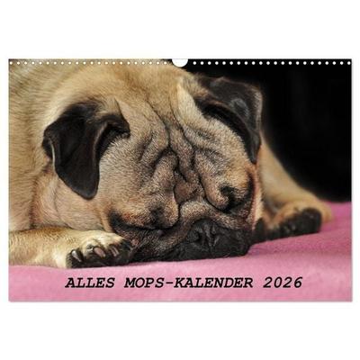 Alles Mops-Kalender 2026 (Wandkalender 2026 DIN A3 quer), CALVENDO Monatskalender