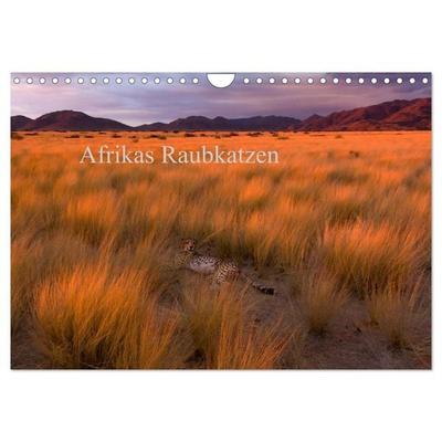 Afrikas Raubkatzen (Wandkalender 2026 DIN A4 quer), CALVENDO Monatskalender