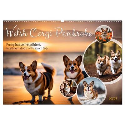 Welsh Corgi Pembroke (Wall Calendar 2027 DIN A2 landscape), CALVENDO 12 Month Wall Calendar