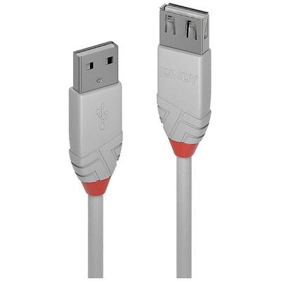 LINDY USB-Kabel USB 2.0 USB-A Stecker, USB-A Buchse 0.20m Grau 36710