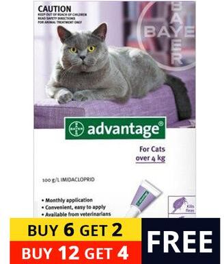 Advantage Cats Over 9lbs (Purple) 6 + 2 Free