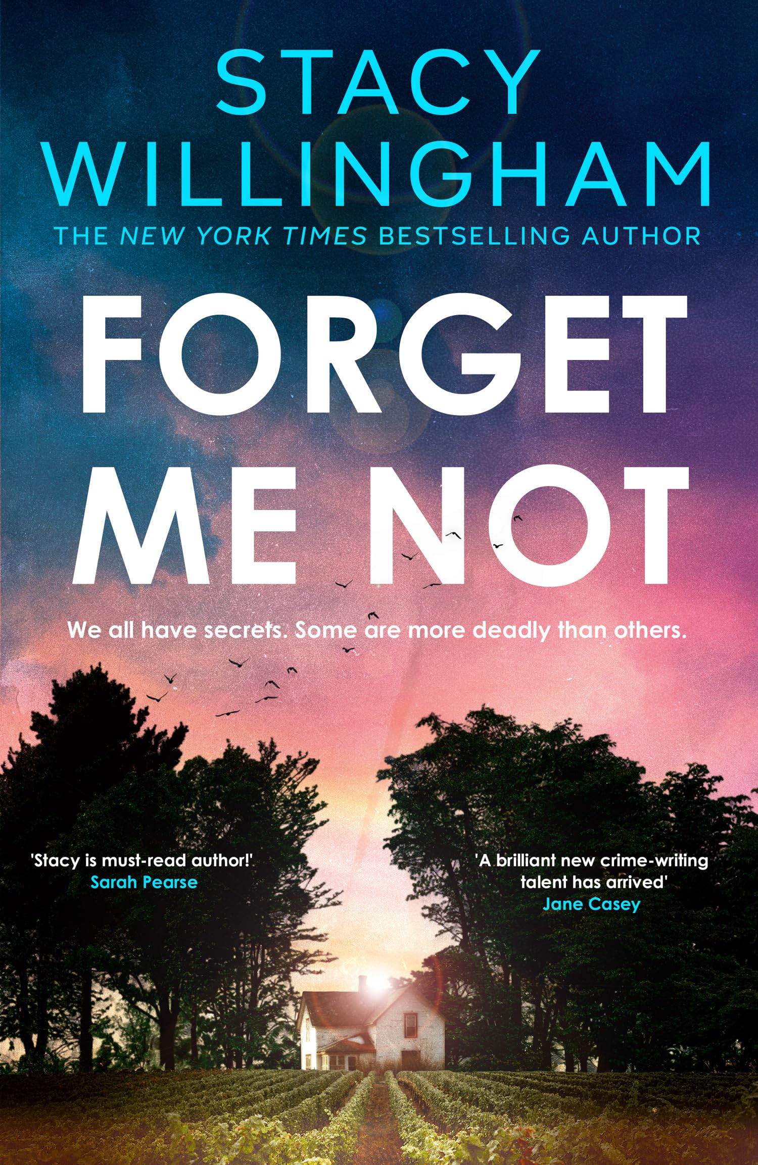 Stacy Willingham - Forget Me Not: The gripping new thriller you don’t want to miss about family secrets - Preis vom 17.10.2026 19:25:27 h