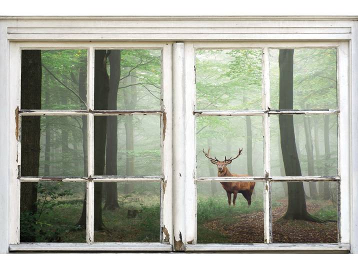Leinwandbild QUEENCE Wald , beige (farbe bild(er): natur), B:90cm H:60cm, Canvas, Holzrahmen, Bilder, Leinwandbild, Premium-Leinwandstoff