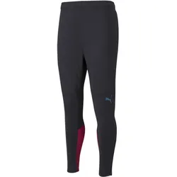 Puma, Herren, Sporthose, MCFC Training Pants w/p w/z-764463 (L), Schwarz, Blau