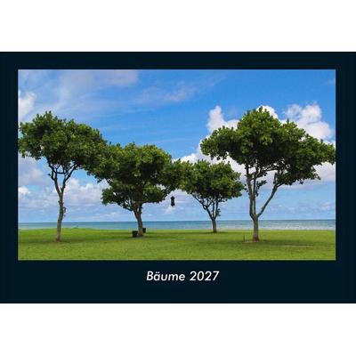 Bäume 2027 Fotokalender DIN A4