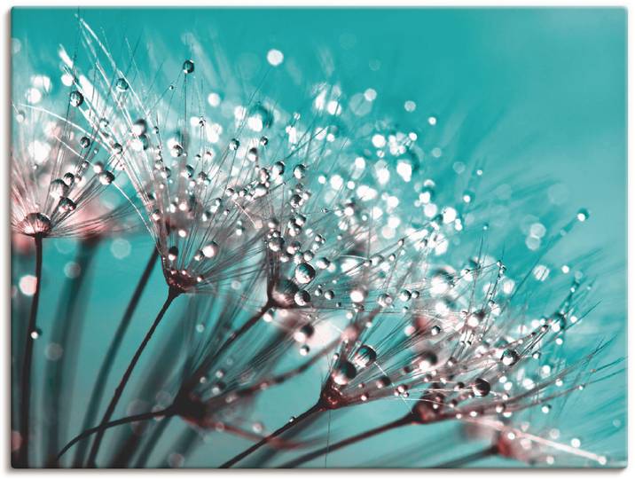 Leinwandbild ARTLAND Glitzernde Pusteblume I , blau (farbe bild(er): blau), B:40cm H:30cm, Bilder, Leinwandbild, auf Holzrahmen gespannt