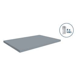 Orion Regalsysteme E10080M/040 Fachboden (B x T) 1000 mm x 800 mm Edelstahl Edelstahl Metallboden 1 St.