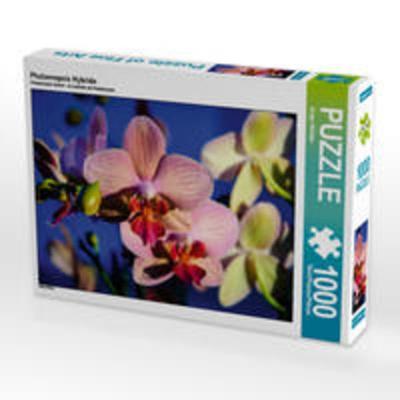 CALVENDO Puzzle Phalaenopsis Hybride 1000 Teile Lege-Größe 64 x 48 cm Foto-Puzzle Bild von Jürgen Wöhlke