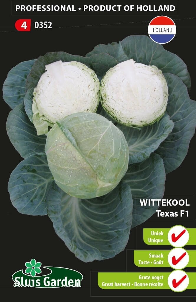 Sluis Garden Witte kool zaden Texas F1