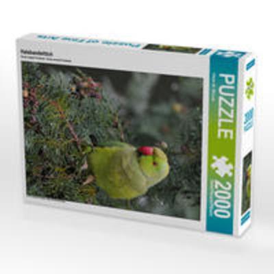 CALVENDO Puzzle Halsbandsittich 2000 Teile Lege-Größe 67 x 90 cm Foto-Puzzle Bild von Dieter-M. Wilczek