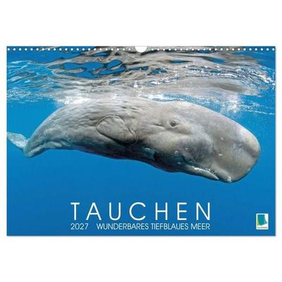 Tauchen: Wunderbares tiefblaues Meer (Wandkalender 2027 DIN A3 quer), CALVENDO Monatskalender