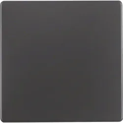 Berker Wippe anthrazit/sa 16206086