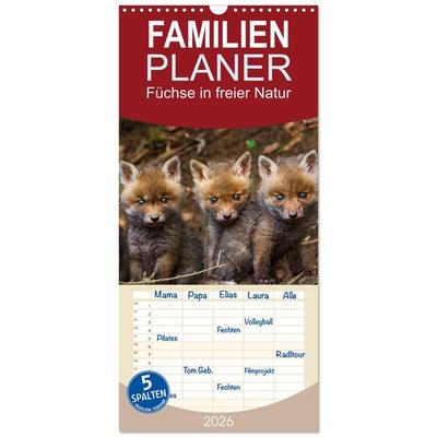 Familienplaner 2026 - Füchse in freier Natur mit 5 Spalten (Wandkalender, 21 x 45 cm) CALVENDO