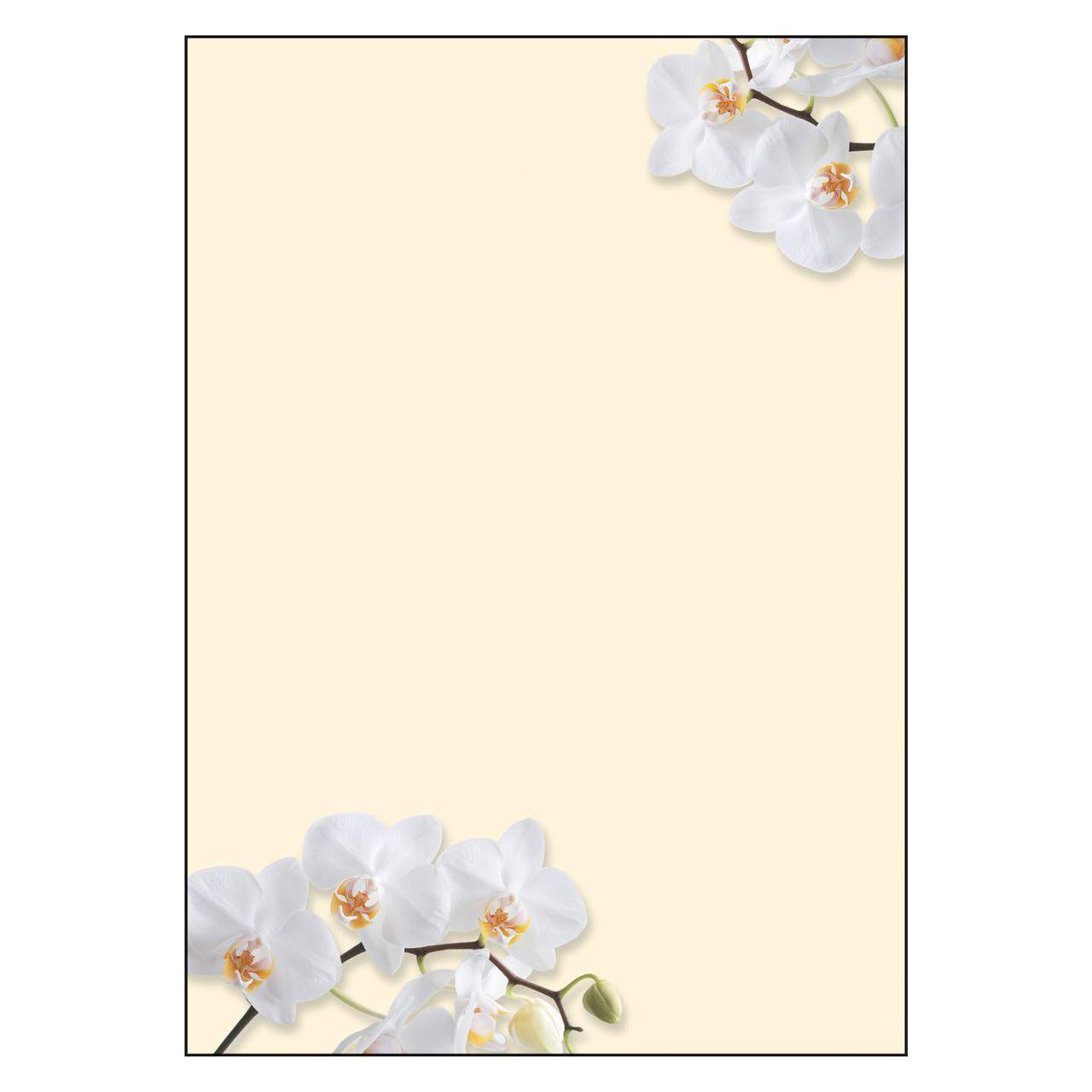 SIGEL Motivpapier White Orchid Motiv DIN A4 90 g/qm 50 Blatt