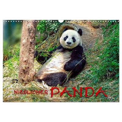 Niedlicher Panda (Wandkalender 2026 DIN A3 quer), CALVENDO Monatskalender