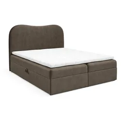 BOXBETT Darlin Prem.. überlänge