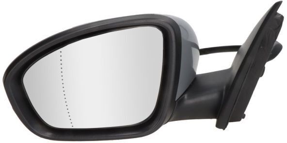 BLIC 5402-09-1231363P Wing mirror