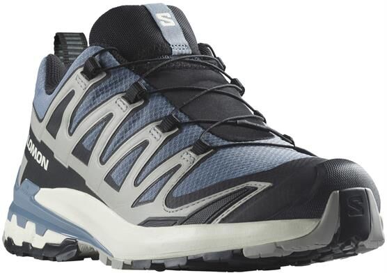 Salomon XA Pro 3D V9 GTX Mens, Flint Stone / Ghost