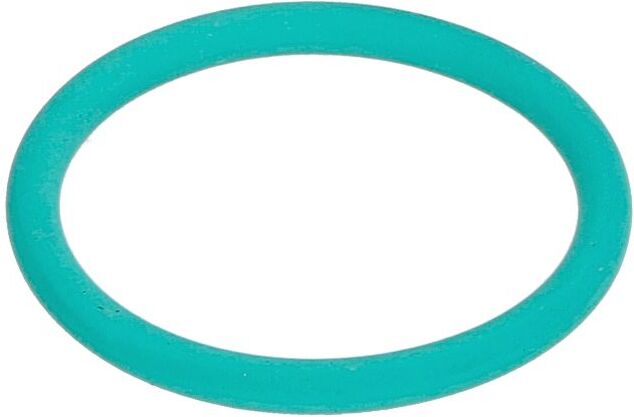 Voith O-ring, cambio H01.004221