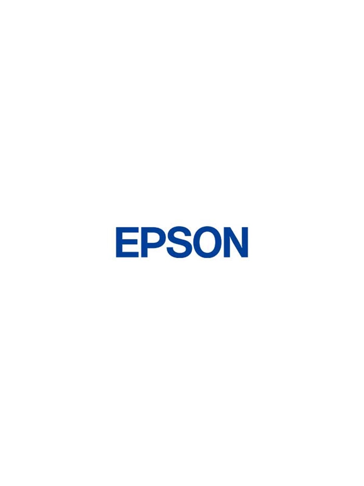 Epson printer continuous ink flow system
