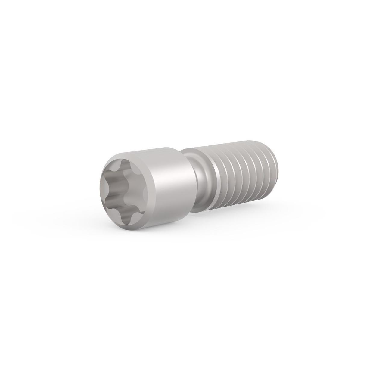 Schroff GEWINDESTIFT M2,5X9 T8 100ST (21102980)
