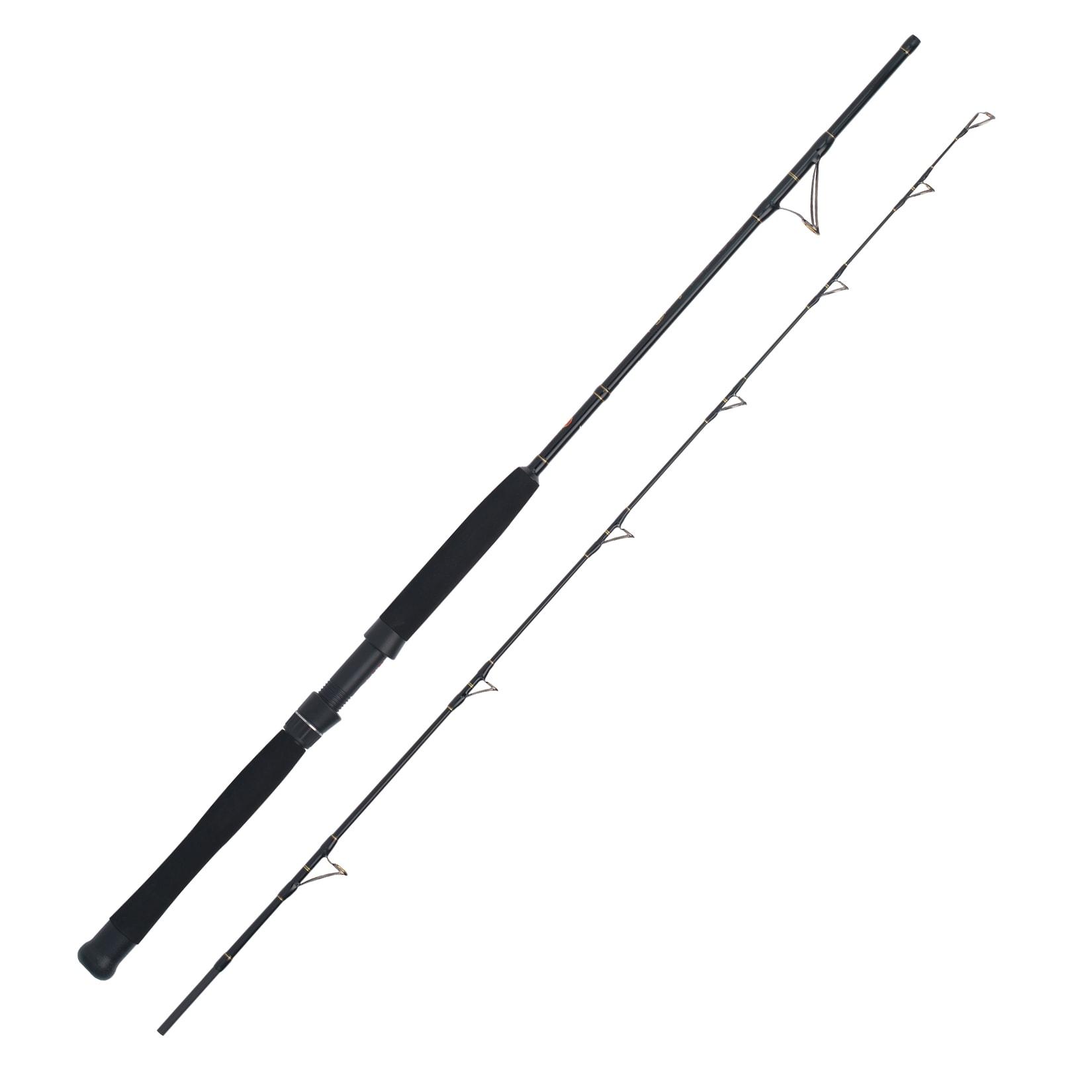 WFT Cool Sea Special Fjord 2pc. 2,10m 25lbs 30-300g Meeresrute