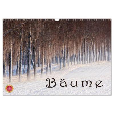 Bäume (Wandkalender 2026 DIN A3 quer), CALVENDO Monatskalender