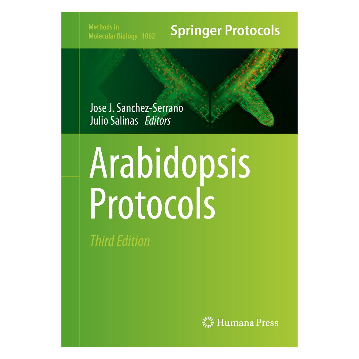 Humana Press Arabidopsis Protocols (Englisch, Hardcover, Jose J. Sanchez-Serrano, Julio Salinas) (9781627035798)