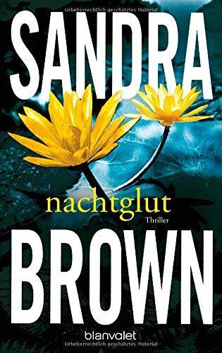 Sandra Brown - Nachtglut: Thriller - Preis vom 17.10.2026 19:25:27 h