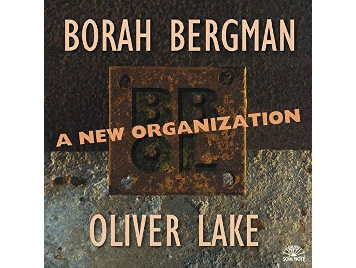 Borah Bergman - A New Organization