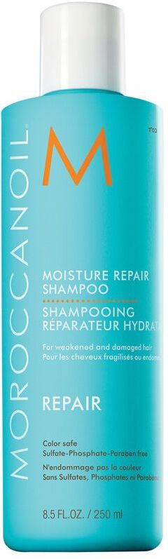 Moroccanoil Repair moisture repair shampoo 250 ml