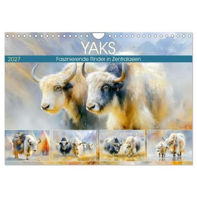 Yaks. Faszinierende Rinder in Zentralasien (Wandkalender 2027 DIN A4 quer), CALVENDO Monatskalender