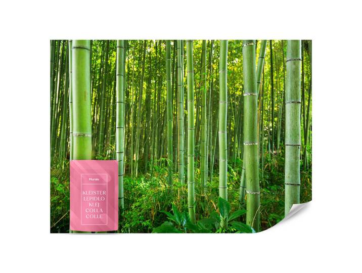 Muralo Fototapete Bambuswald Pflanzen Natur 3D 350x256, Grün, Gelb, Papier, Baum/Pflanze/Natur, Rechteckig, 350x256 cm, Tapeten & Wandverkleidungen, Fototapeten