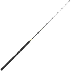 Daiwa BG Big Game 1.68m 20-30lbs Bootsrute