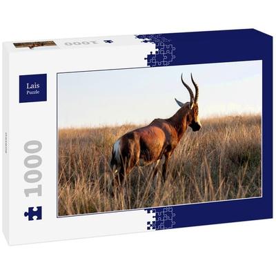 Lais Puzzle Gazelle 1000 Teile