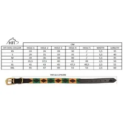 HFI Master Polo (XS, Hund), Halsband + Leine